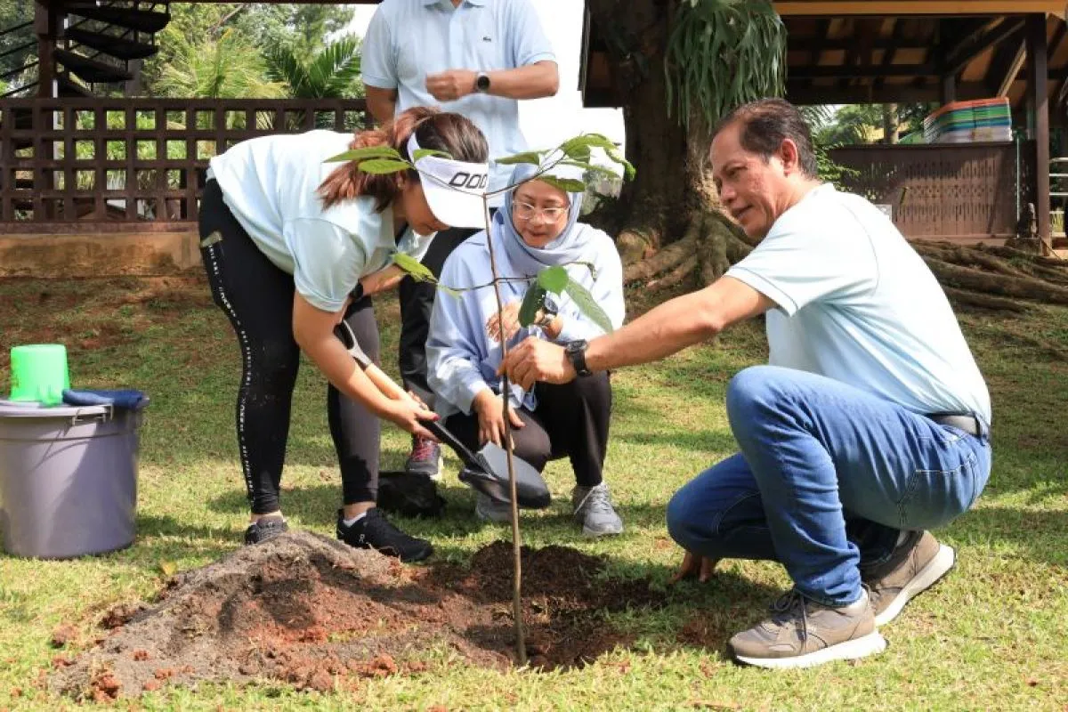 Simbol Ekologis, Menteri LHK Tanam 257 Bibit Tanaman Endemik di TMII