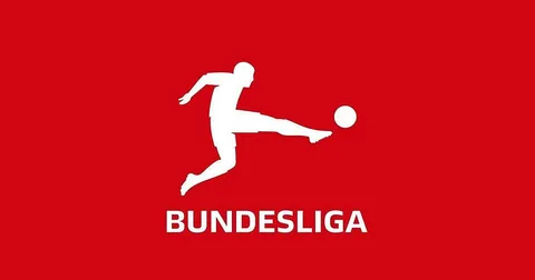 Paul Nebel Percaya 1. FSV Mainz 05 Bisa Keluar dari Zona Degradasi